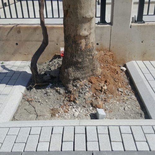 Pendik Sahil Tamburlu Granit Döşeme
